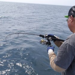 松鶴丸 釣果