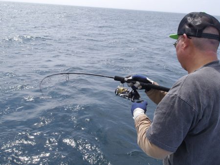 松鶴丸 釣果