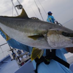 松鶴丸 釣果