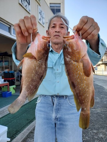 桑田観光 釣果