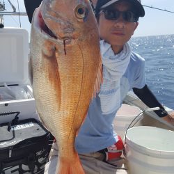 海峰 釣果