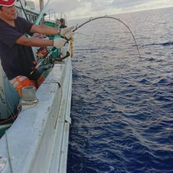 フィッシングハウス伊藤 釣果