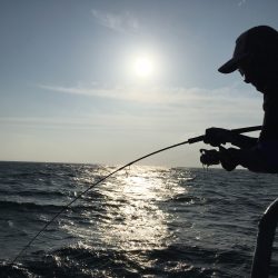 松鶴丸 釣果