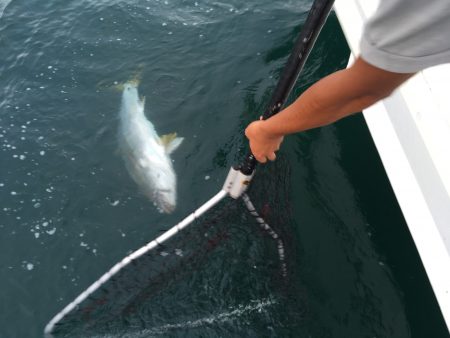 松鶴丸 釣果