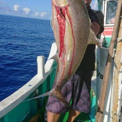 フィッシングハウス伊藤 釣果