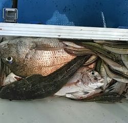 フィッシングガイド りょう 釣果