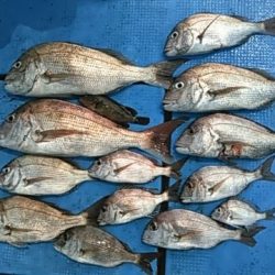 フィッシングガイド りょう 釣果