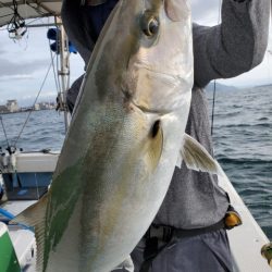 海晴丸 釣果