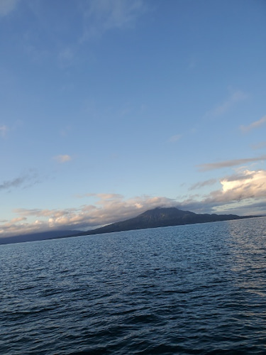 海晴丸 釣果