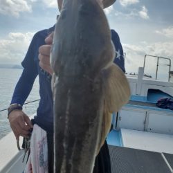 海晴丸 釣果