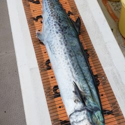 釣人家 釣果