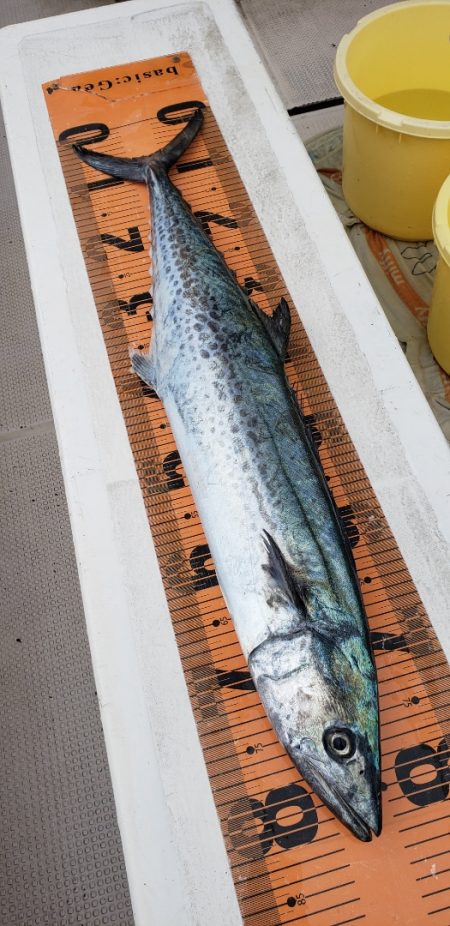 釣人家 釣果