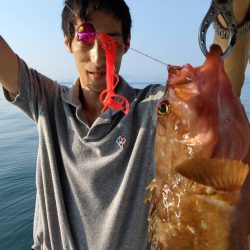 タイラバ遊漁船 ワンピース 釣果