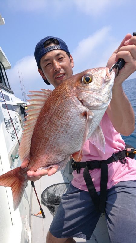 だて丸 釣果