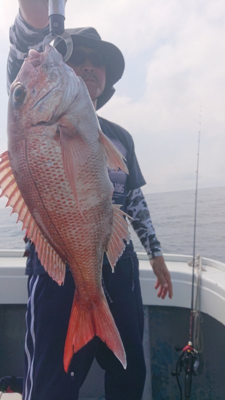 だて丸 釣果