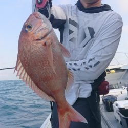 だて丸 釣果