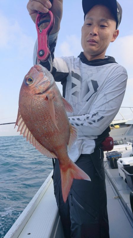 だて丸 釣果