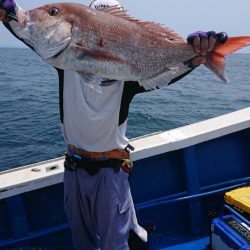 清和丸 釣果