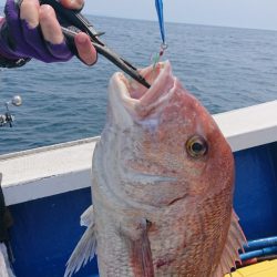 清和丸 釣果