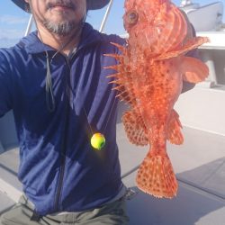 だて丸 釣果