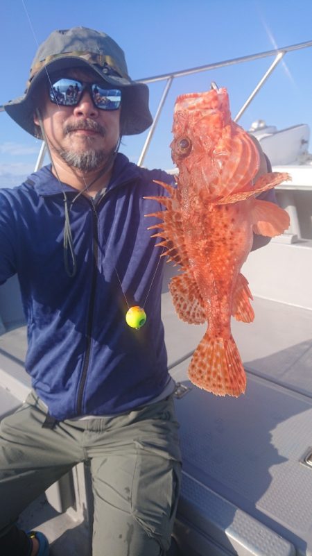 だて丸 釣果