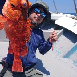 だて丸 釣果