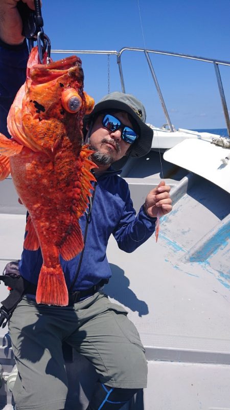 だて丸 釣果