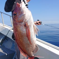 だて丸 釣果