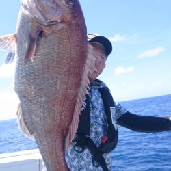 だて丸 釣果