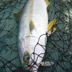 鷹王丸 釣果