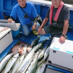 清和丸 釣果