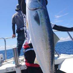 だて丸 釣果