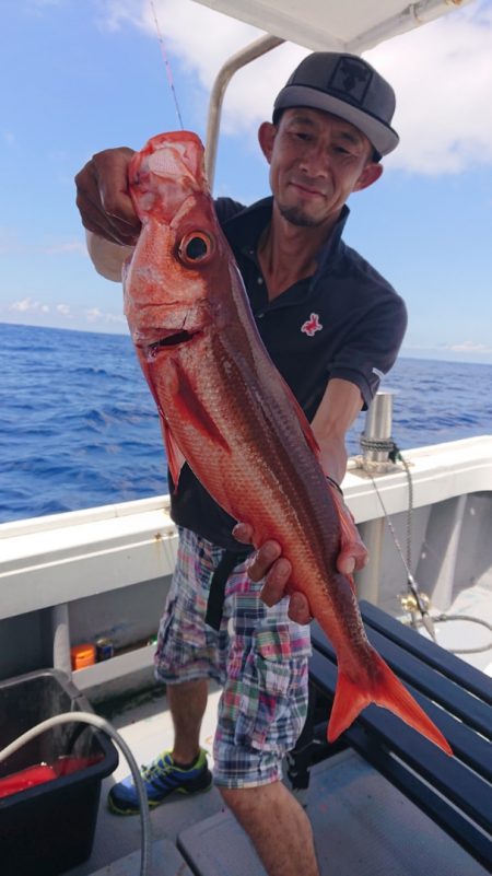 だて丸 釣果