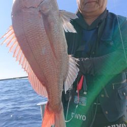 だて丸 釣果