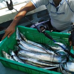 岡田釣船　八英丸 釣果