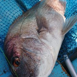 シースナイパー海龍 釣果