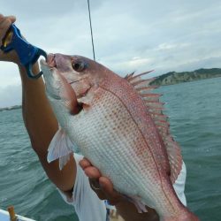 新幸丸 釣果