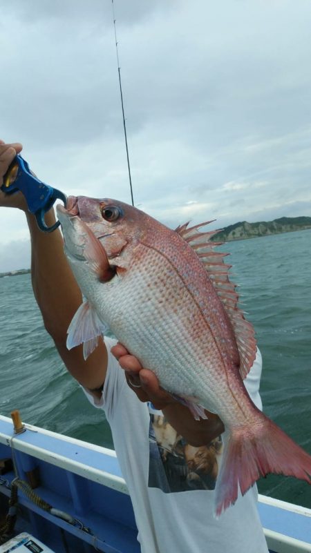 新幸丸 釣果