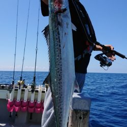 鷹王丸 釣果