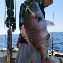 鷹王丸 釣果