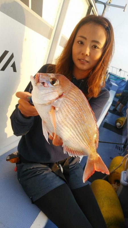 新幸丸 釣果