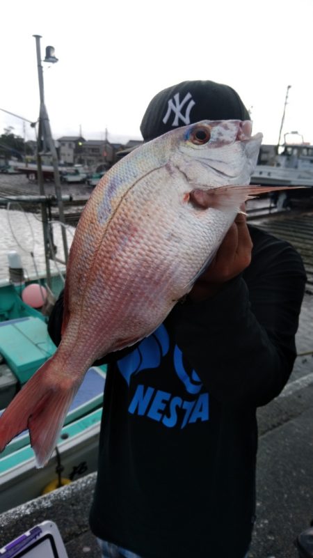 富士丸 釣果