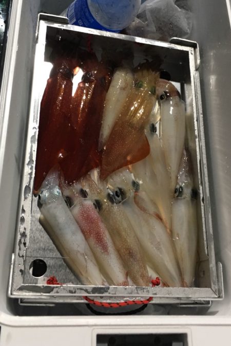 渡船屋たにぐち 釣果