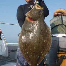 ブルースフィッシングサービス 釣果