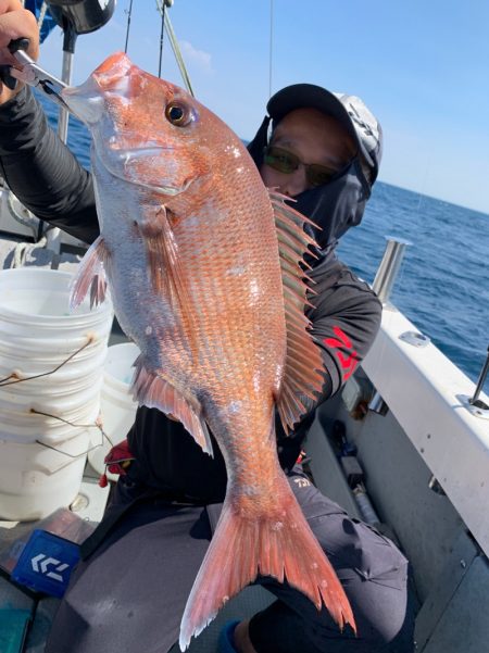 エヌスタイル 釣果