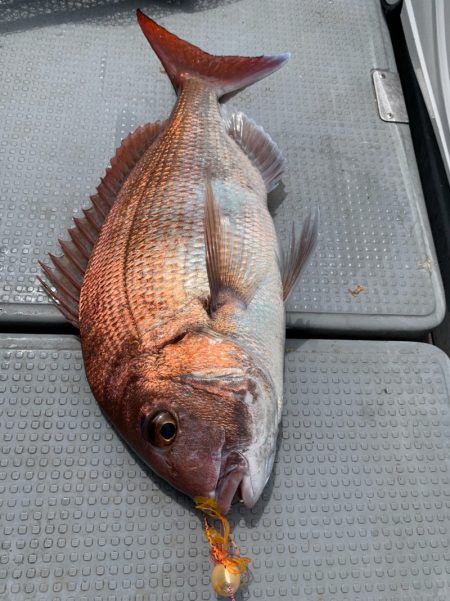 エヌスタイル 釣果