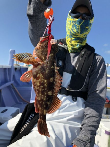 新幸丸 釣果