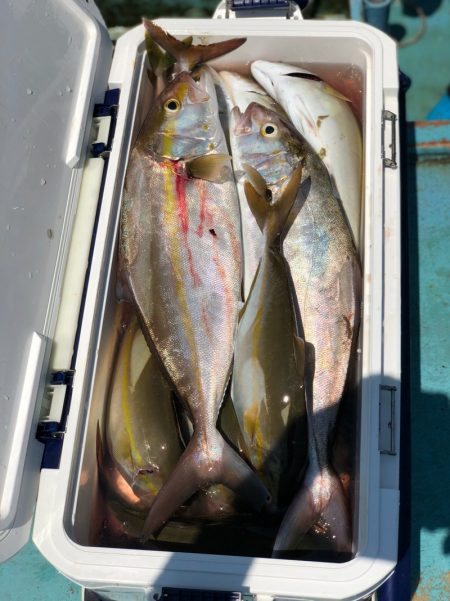 丸万釣船 釣果