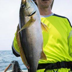 光生丸 釣果