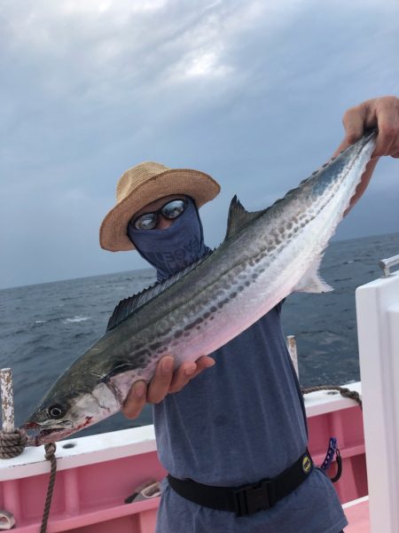 山正丸 釣果